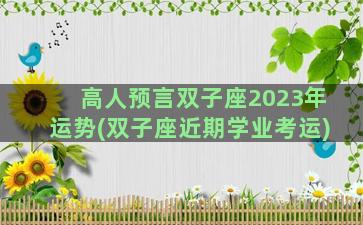 高人预言双子座2023年运势(双子座近期学业考运)
